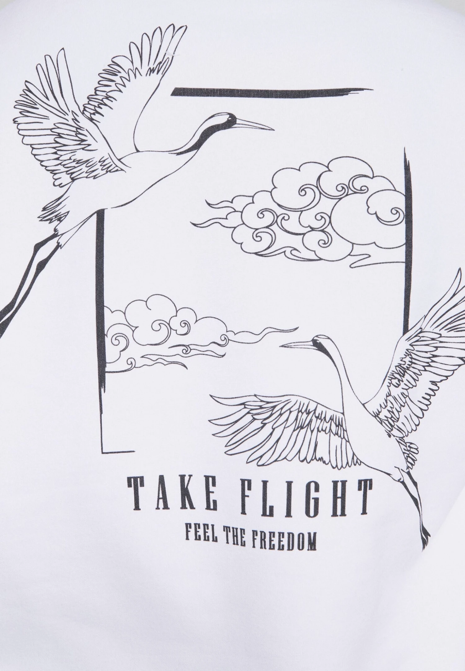 Pier One Sweater - White - Afbeelding 7